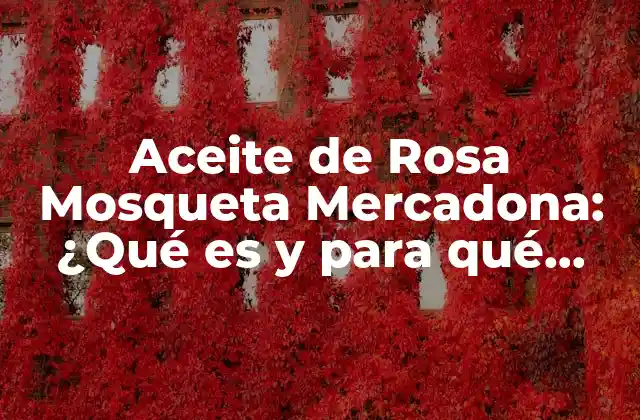 Aceite de Rosa Mosqueta Mercadona: ¿qué es y para Qué Sirve?