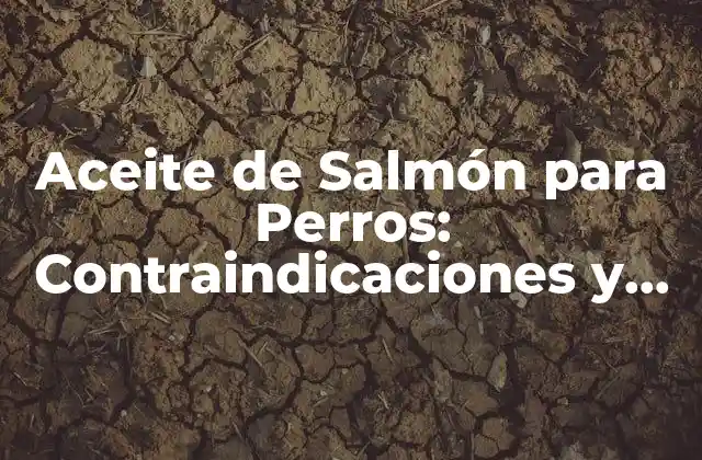 Aceite de Salmón para Perros: Contraindicaciones y Uso Seguro