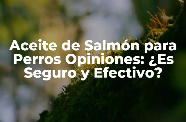 Aceite de Salmón para Perros Opiniones: ¿es Seguro y Efectivo? 2 ¿Qué es el Aceite de Salmón para Perros?