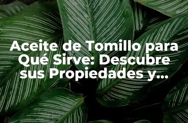 Aceite de Tomillo para Qué Sirve: Descubre Sus Propiedades y Beneficios