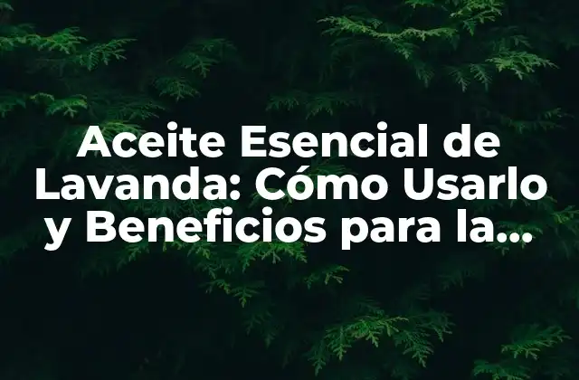 Aceite Esencial de Lavanda: Cómo Usarlo y Beneficios para la Salud y la Belleza