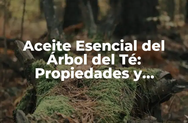Aceite Esencial Del Árbol Del Té: Propiedades y Beneficios