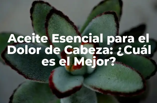 Aceite Esencial para el Dolor de Cabeza: ¿cuál es el Mejor?