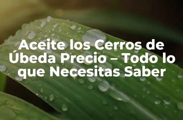 Aceite los Cerros de Úbeda Precio – Todo Lo que Necesitas Saber