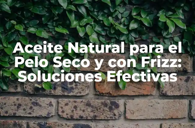 Aceite Natural para el Pelo Seco y con Frizz: Soluciones Efectivas
