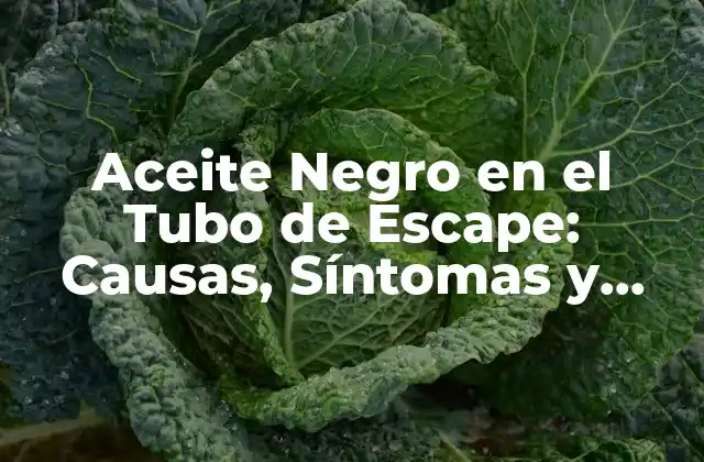 Aceite Negro en el Tubo de Escape: Causas, Síntomas y Soluciones