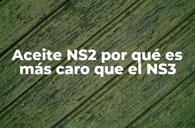 Aceite Ns2 por Qué es Más Caro que el Ns3
