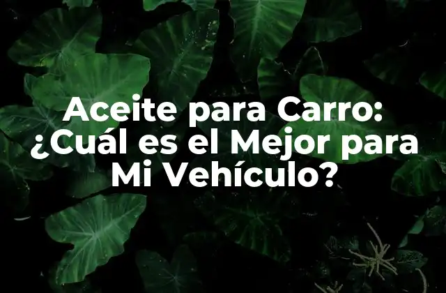 Aceite para Carro: ¿cuál es el Mejor para Mi Vehículo?