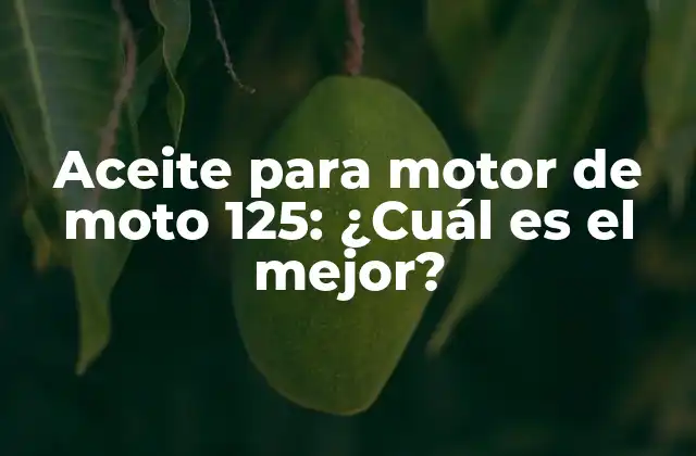 ¿Qué tipo de aceite para motor de moto 125 debo utilizar?