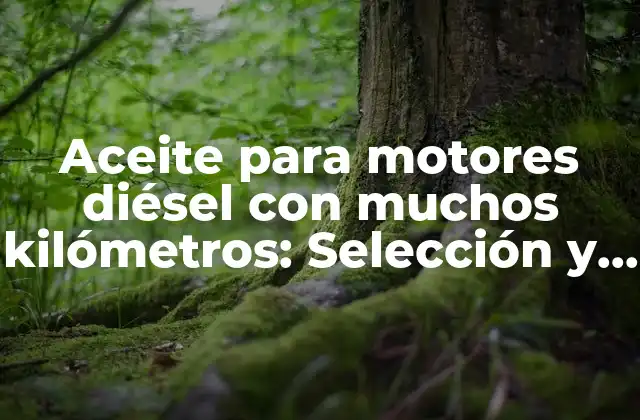 Aceite para Motores Diésel con Muchos Kilómetros: Selección y Beneficios