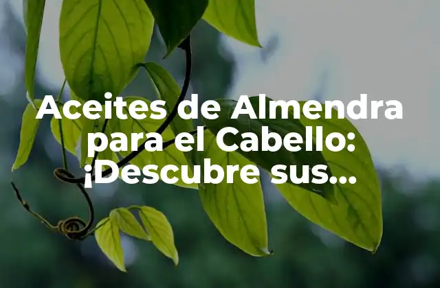 Aceites de Almendra para el Cabello: ¡descubre Sus Beneficios y Usos!