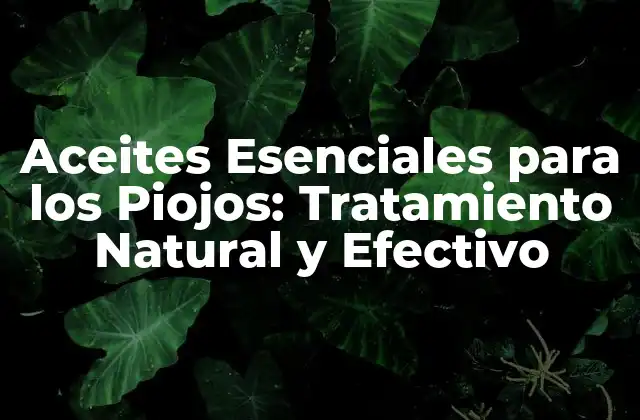 Aceites Esenciales para los Piojos: Tratamiento Natural y Efectivo