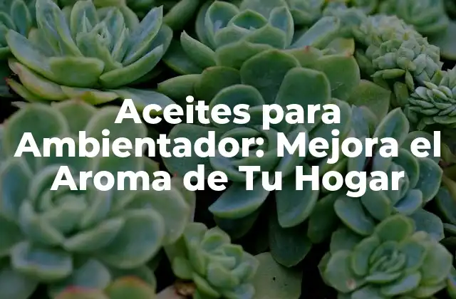 Aceites para Ambientador: Mejora el Aroma de Tu Hogar