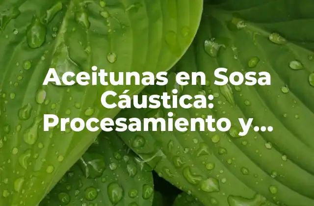 Aceitunas en Sosa Cáustica: Procesamiento y Seguridad