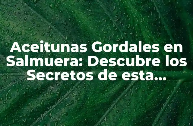 Aceitunas Gordales en Salmuera: Descubre los Secretos de Esta Delicia Española