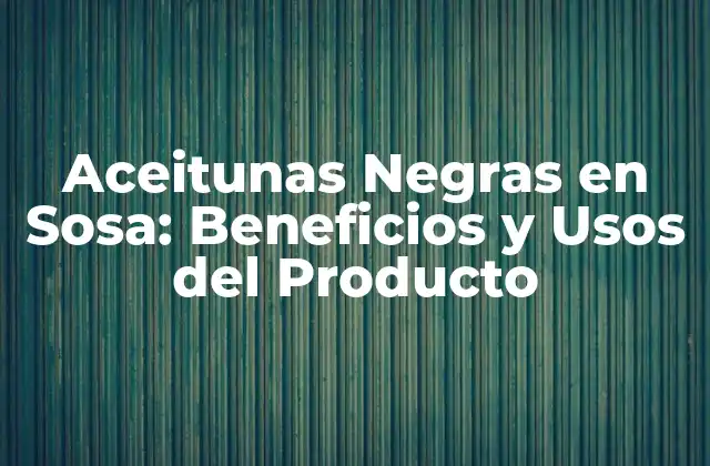 Aceitunas Negras en Sosa: Beneficios y Usos Del Producto