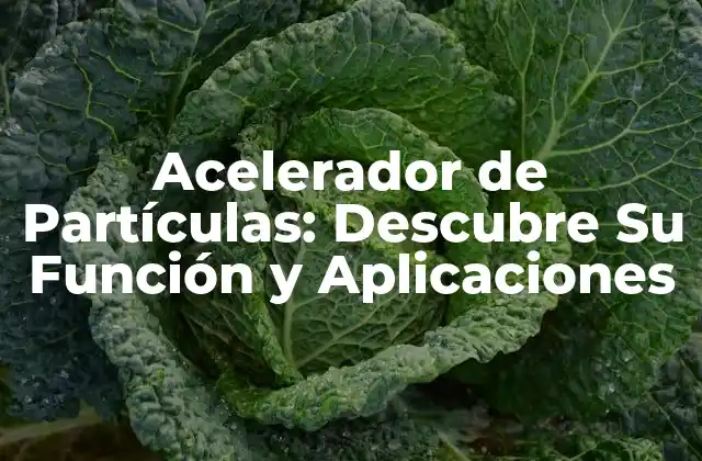 Acelerador de Partículas: Descubre Su Función y Aplicaciones