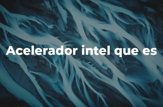 Acelerador Intel que es
