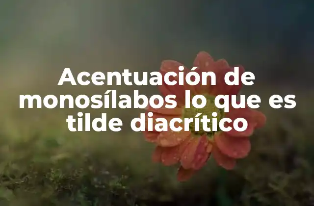 Acentuación de Monosílabos Lo que es Tilde Diacrítico