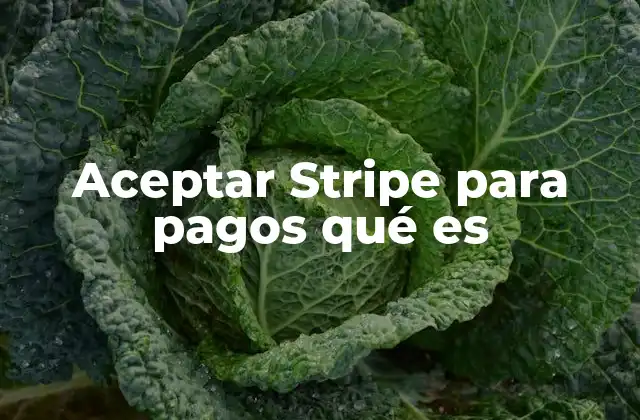 Aceptar Stripe para Pagos Qué es