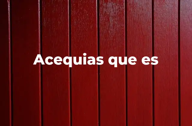 Acequias que es