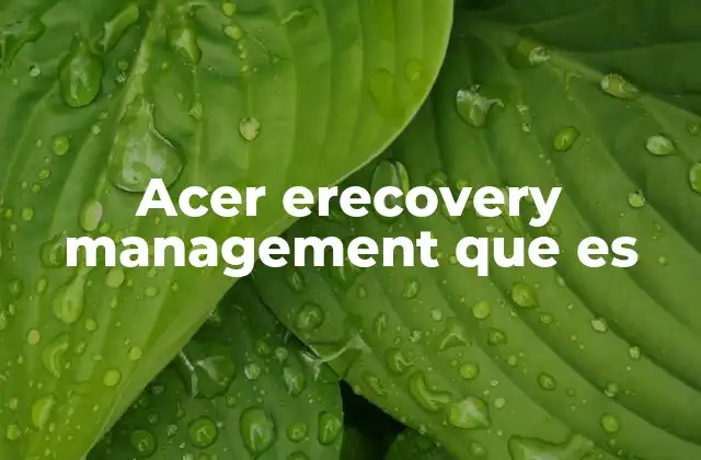 Acer Erecovery Management que es