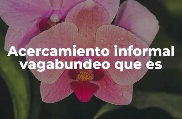 La esencia del paseo casual en la sociedad moderna