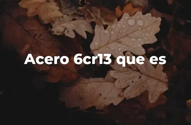 Acero 6cr13 que es