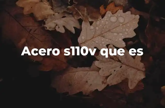 Acero S110v que es
