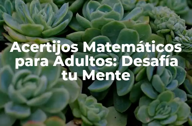 ¿Cuáles son los Beneficios de los Acertijos Matemáticos para Adultos?