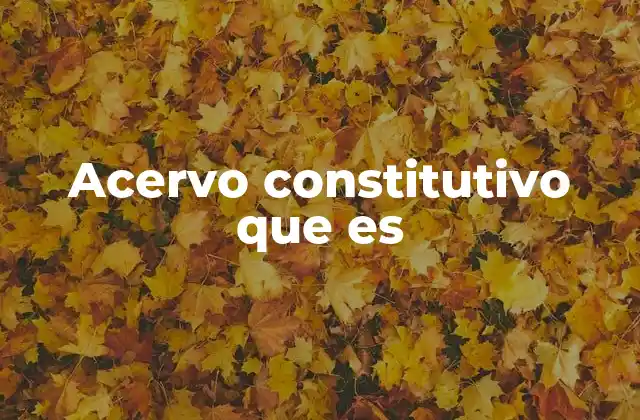 Acervo Constitutivo que es