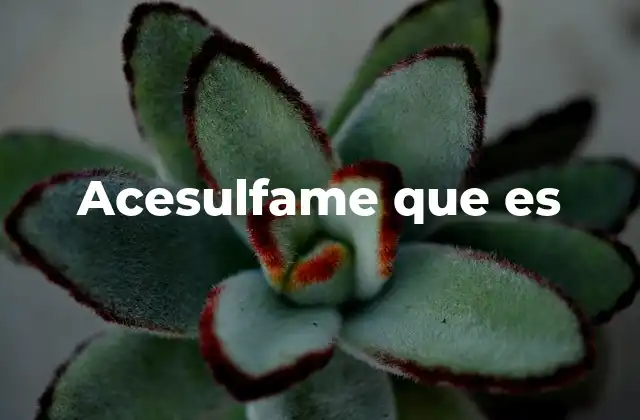 Acesulfame que es