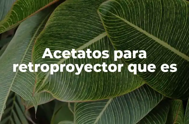 Acetatos para Retroproyector que es