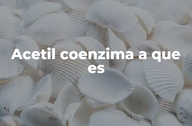 Acetil Coenzima a que es