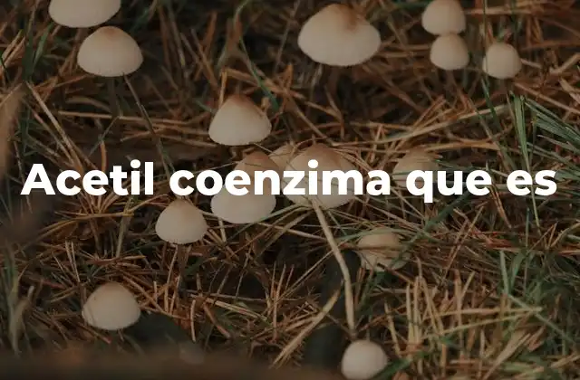 Acetil Coenzima que es