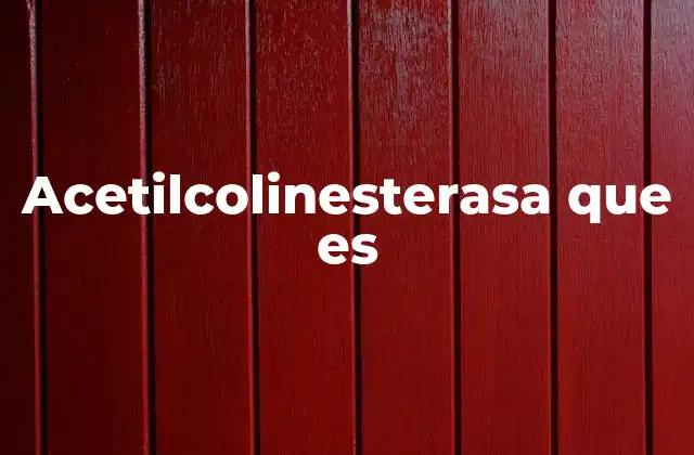 Acetilcolinesterasa que es