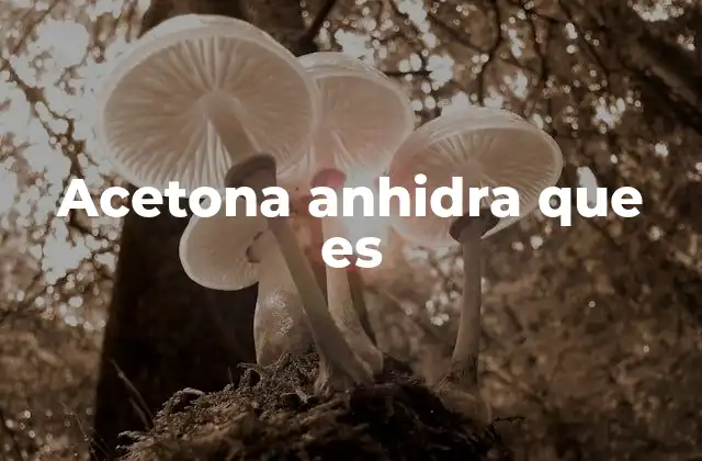 Acetona Anhidra que es