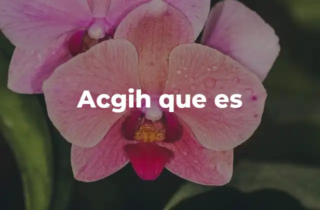 Acgih que es