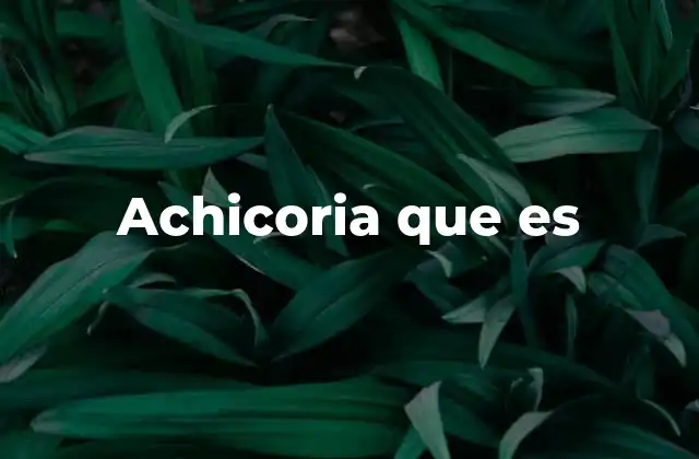 Achicoria que es