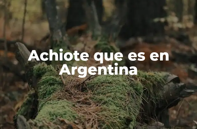 Achiote que es en Argentina