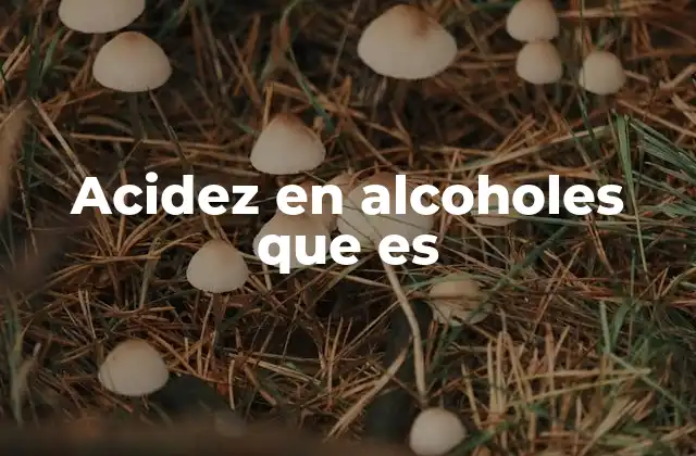 Acidez en Alcoholes que es