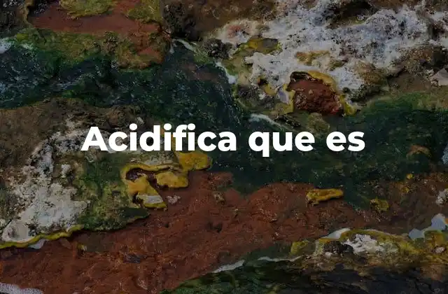 Acidifica que es