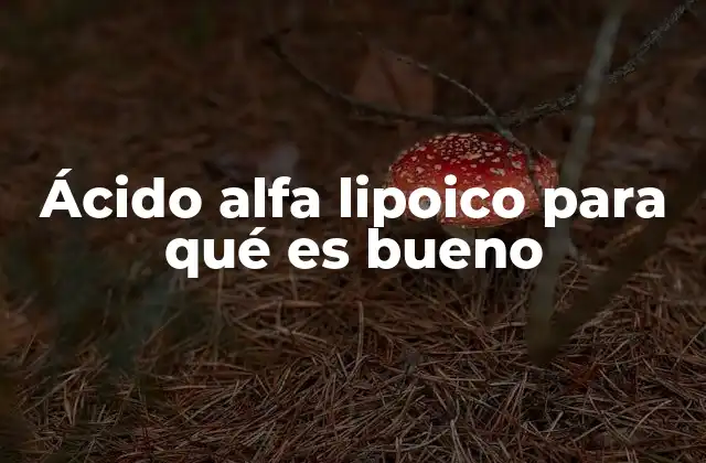 Ácido Alfa Lipoico para Qué es Bueno