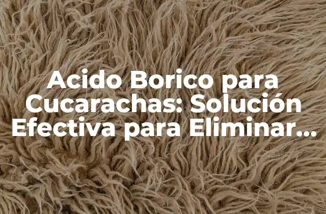 Acido Borico para Cucarachas: Solución Efectiva para Eliminar Plagas