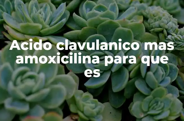 Acido Clavulanico mas Amoxicilina para que es