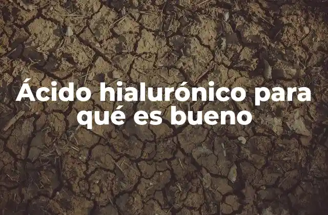 Ácido Hialurónico para Qué es Bueno