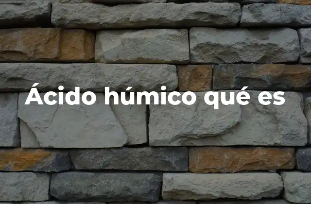 Ácido Húmico Qué es 2 El papel del ácido húmico en la salud del suelo