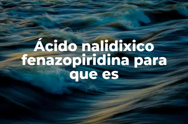Ácido Nalidixico Fenazopiridina para que es 2 El papel de cada componente en la combinación terapéutica