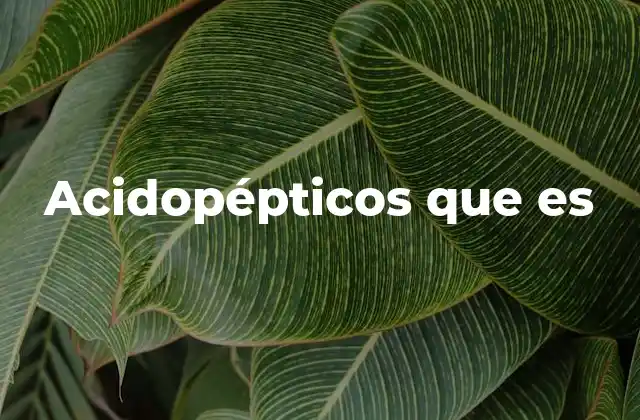 Acidopépticos que es