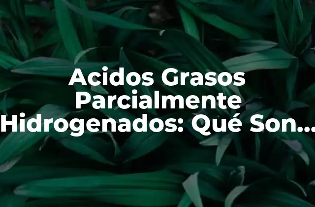 Acidos Grasos Parcialmente Hidrogenados: Qué Son y Cómo Afectan Tu Salud 2 ¿Qué son los Ácidos Grasos Parcialmente Hidrogenados?